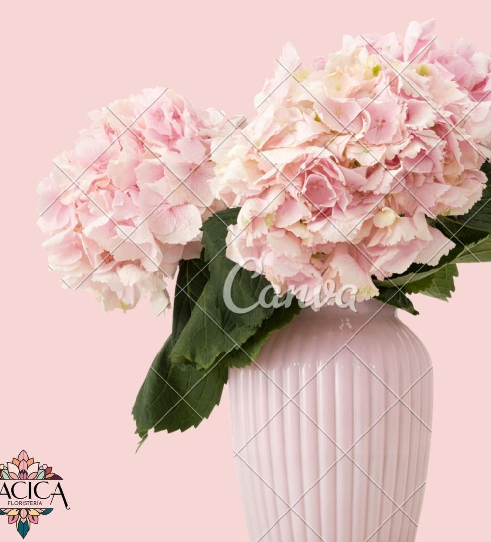 Catálogo Oficial Floristería Cacica